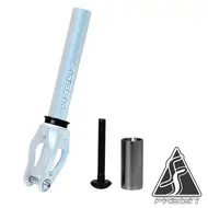 Fasen vilica IHC – slika 5